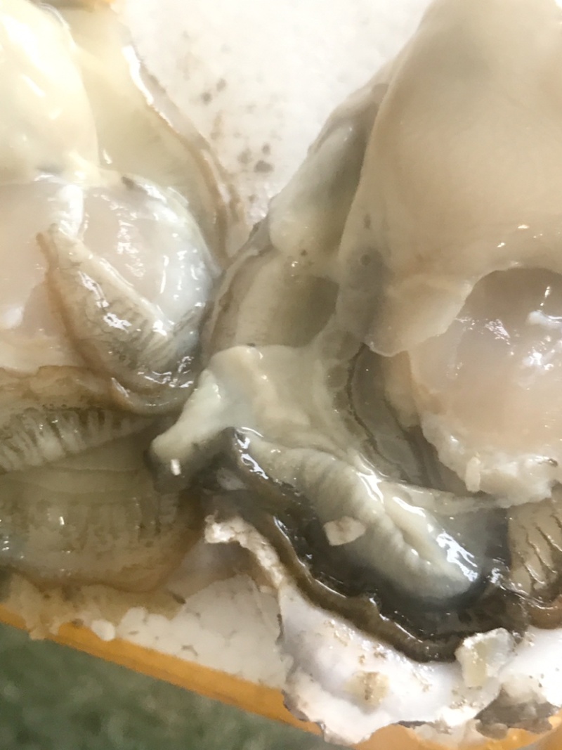 生蚝，肥蚝，乳山生蚝，个头大，质量保证，