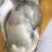 生蚝，肥蚝，乳山生蚝，个头大，质量保证，