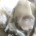 生蚝，肥蚝，乳山生蚝，个头大，质量保证，