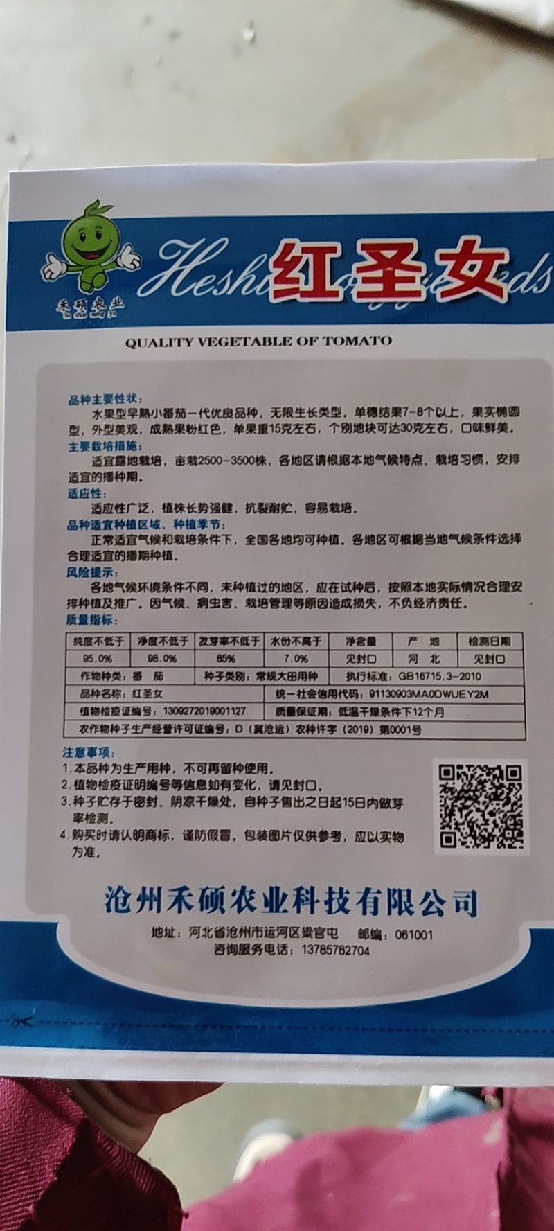 番茄种子红圣女果种子，一手货源，易存活生长