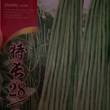 【牛商推荐】种子特长绿先锋豆角种子四季豆高产蔬菜种子
