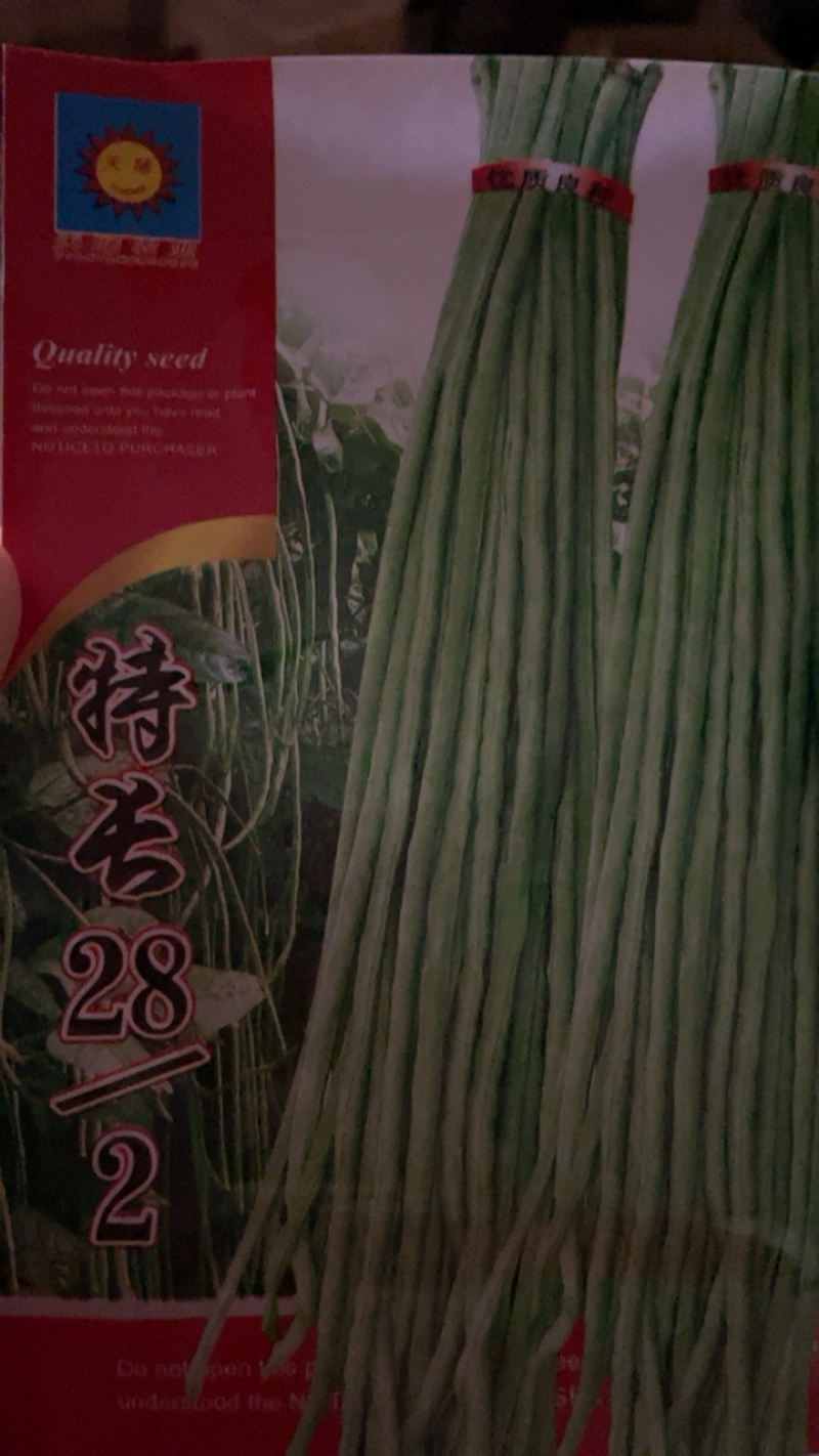 【牛商推荐】种子特长绿先锋豆角种子四季豆高产蔬菜种子