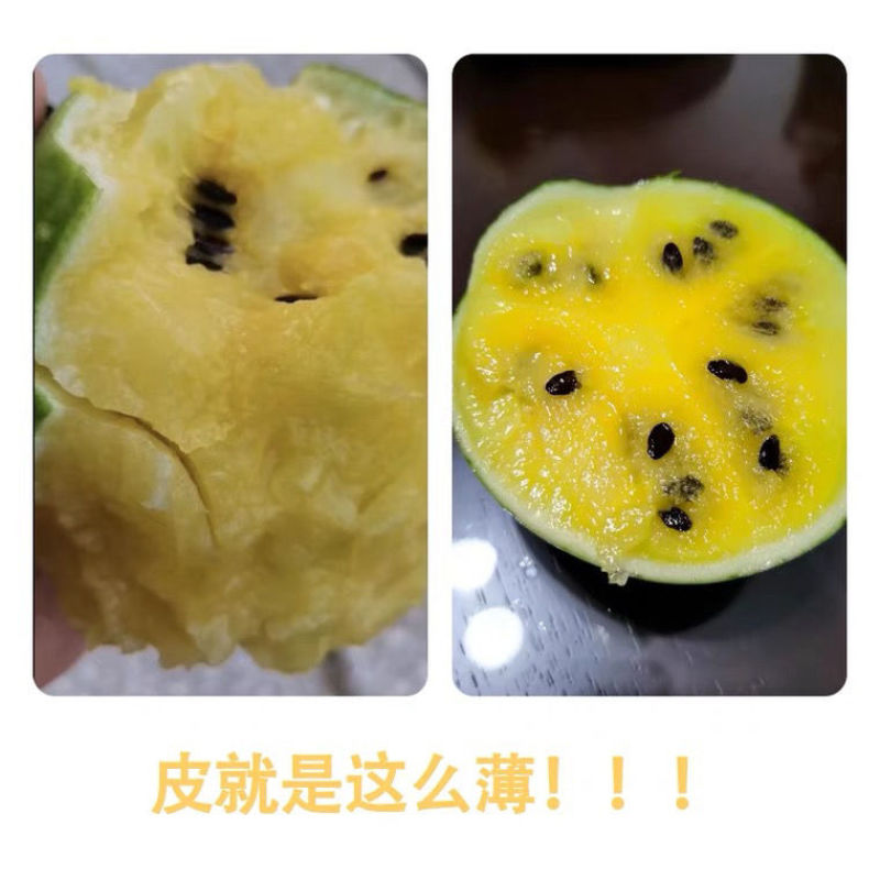 西瓜特小凤西瓜江苏东台大量上市口感好含糖量高