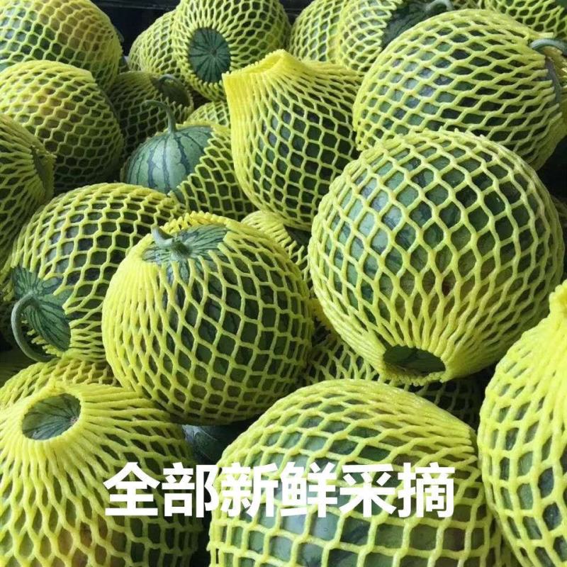 西瓜特小凤西瓜江苏东台大量上市口感好含糖量高