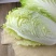 白菜黄心白菜江苏东台夏阳白菜，欢迎各位朋友前来采购