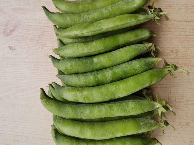 大角青豌豆和小角白豌豆，货源充足量大从优