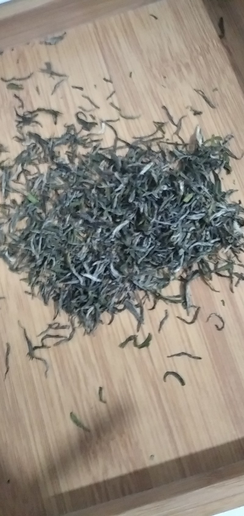 信阳毛尖茶高档雨前茶大别山特产正宗的信阳毛尖芽