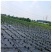 【厂家包邮】农用黑色除草地膜白色地膜保湿保温地膜黑色地膜