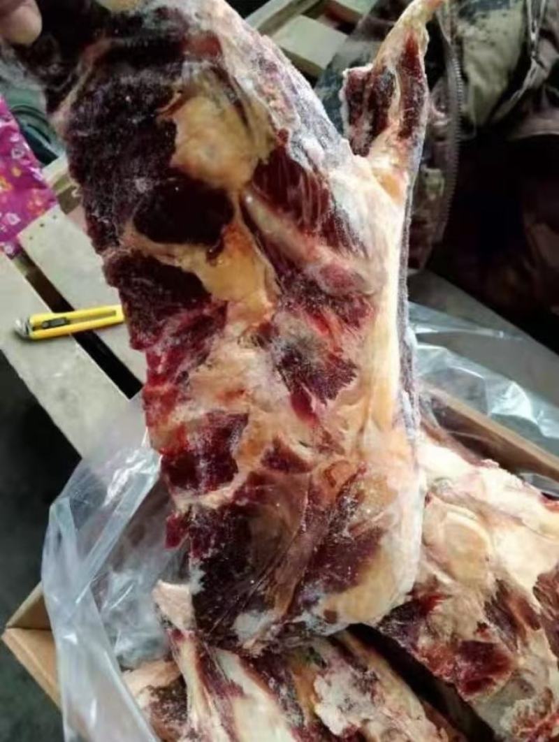国产牛胸排火锅乱炖，可以锯断，可以整块，