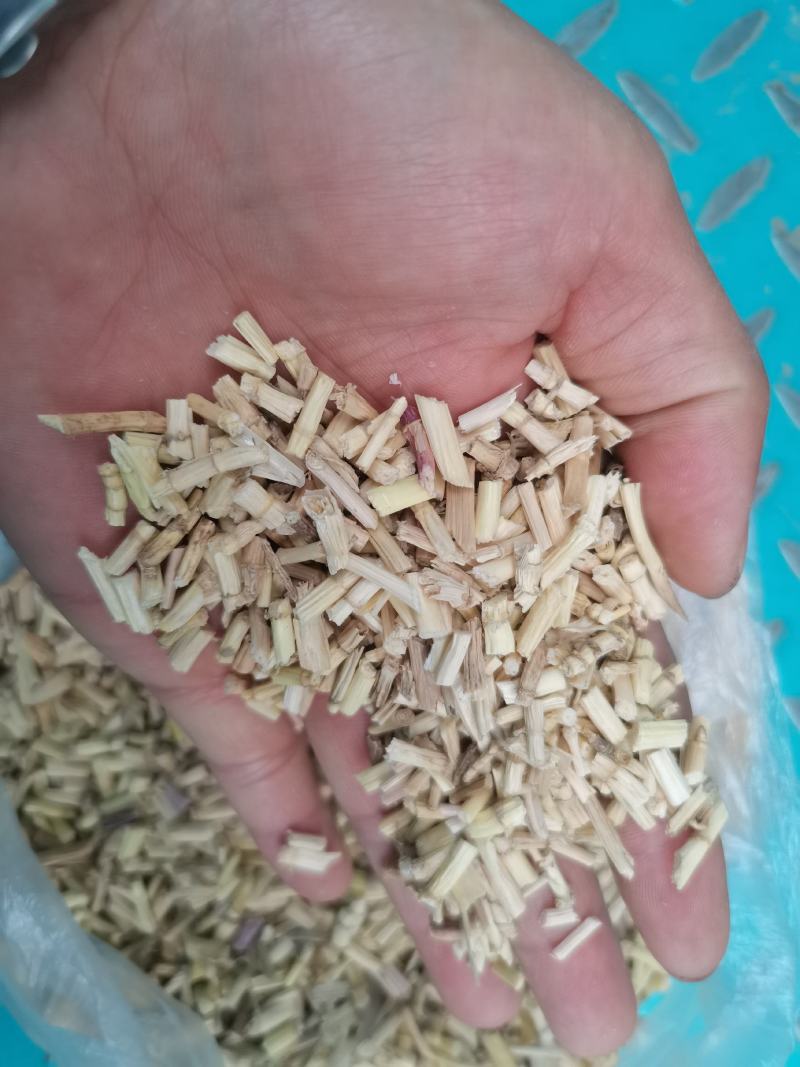 白茅根，