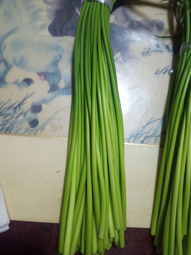 山东聊城精品红帽蒜苔