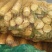 【精品】笋高山优质苦笋价格便宜现挖现发品质保证