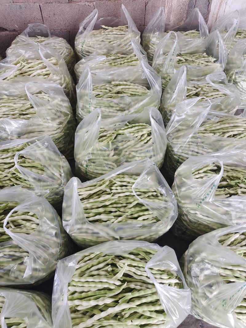 临沂市莒南九里白芸豆大量上市可视频看货欢迎咨询