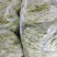 临沂市莒南九里白芸豆大量上市可视频看货欢迎咨询