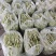 临沂市莒南九里白芸豆大量上市可视频看货欢迎咨询