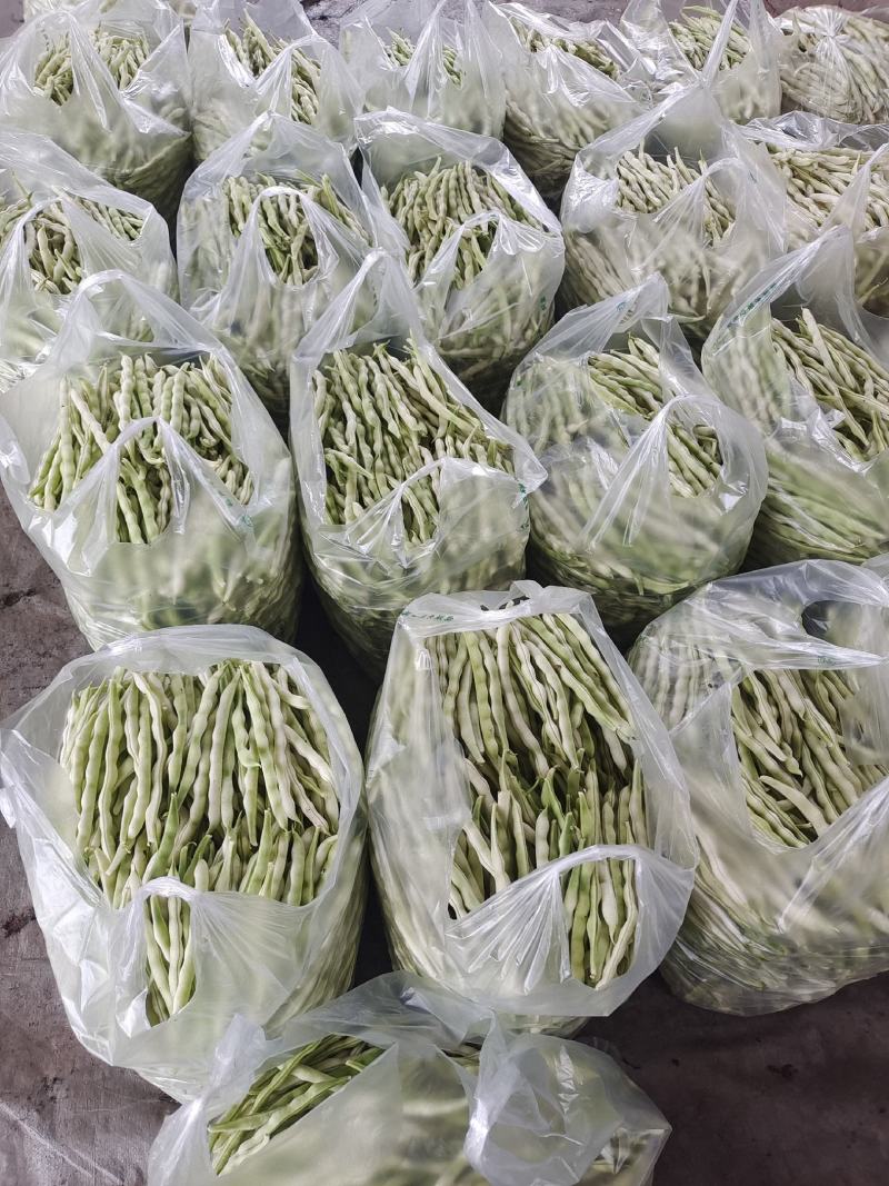 临沂市莒南九里白芸豆大量上市可视频看货欢迎咨询