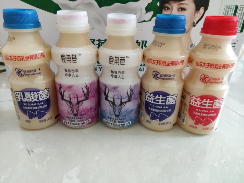 山东太子奶乳业，乳酸菌厂家直发，春节盒火爆预定中，