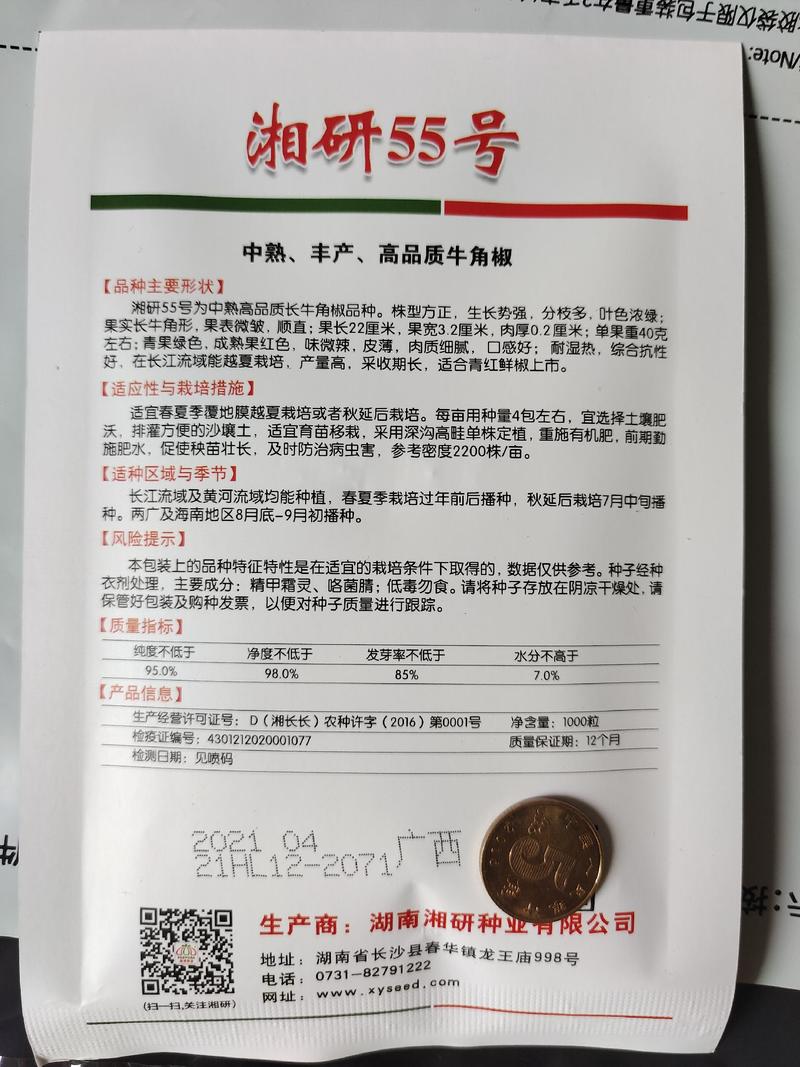 湘研55号牛角椒种子中熟耐热丰产高品质