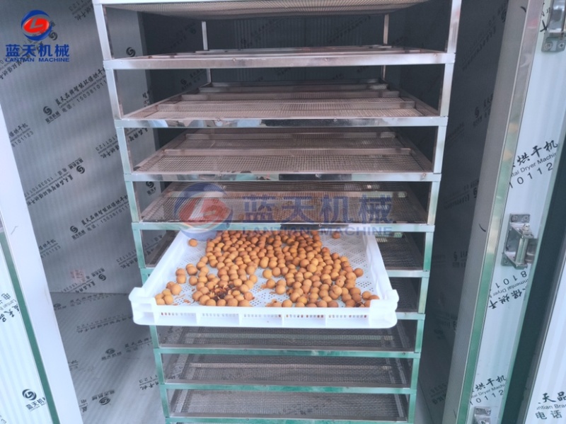 荔枝烘干机龙眼烘干房桂圆烘干机水果去核机烘干机