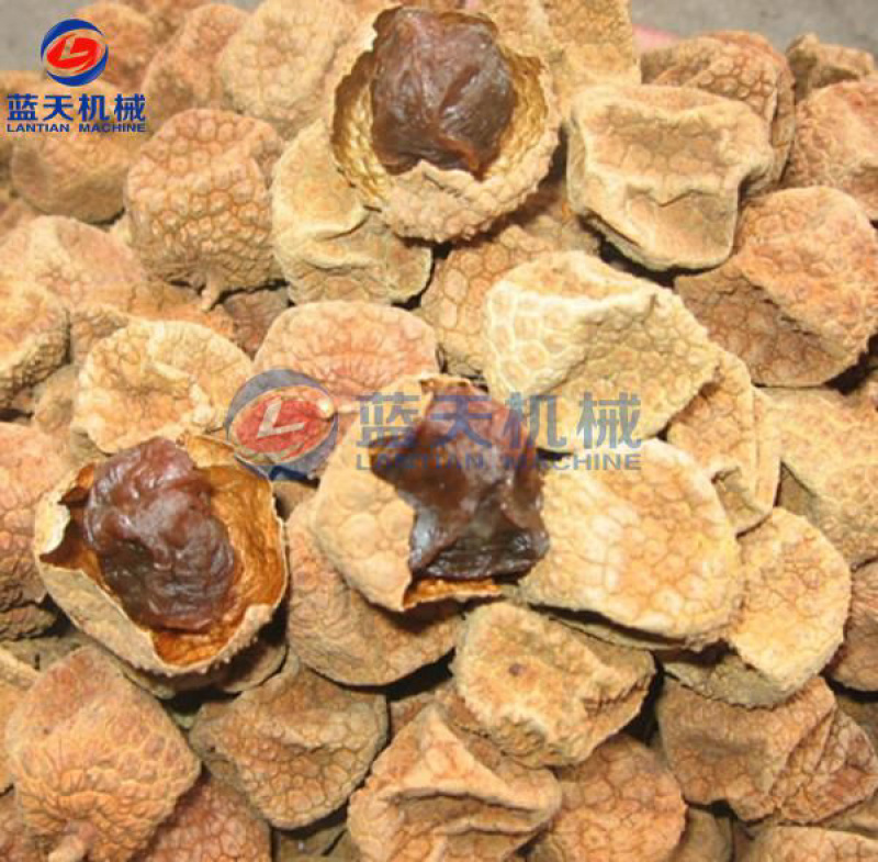 荔枝烘干机龙眼烘干房桂圆烘干机水果去核机烘干机