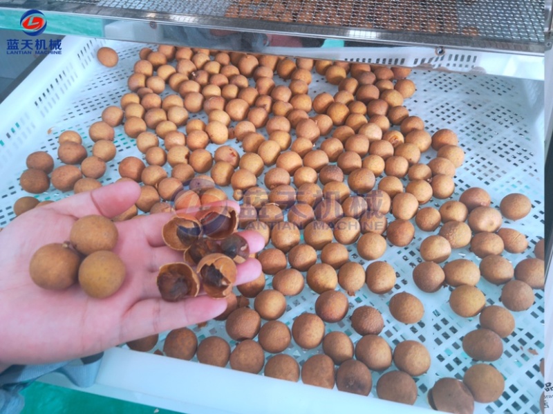 荔枝烘干机龙眼烘干房桂圆烘干机水果去核机烘干机