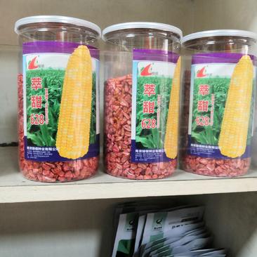 绿领萃甜628，甜玉米种子蔬菜种子春秋均可种植