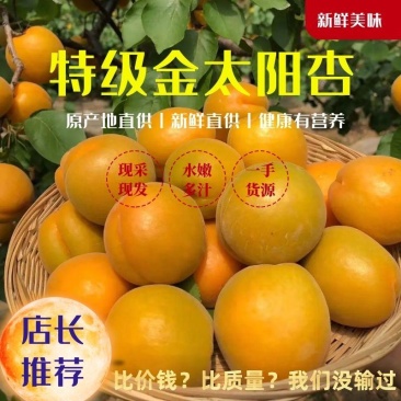 陕西大荔金太阳杏品质高支持空运合作商超！一件代发