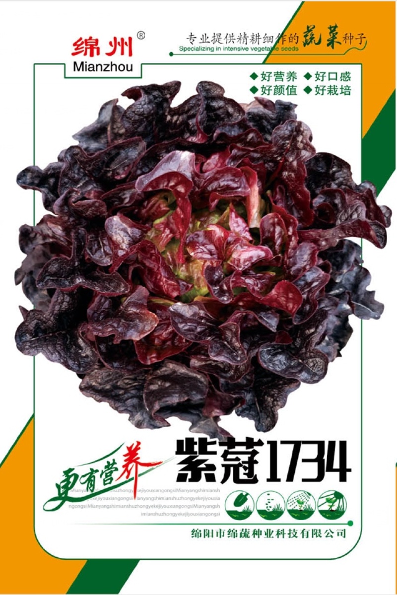紫蒄1734/绵蔬/生菜种子/蔬菜种子/叶菜种子