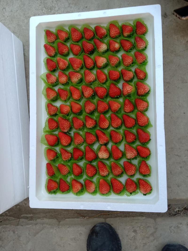 【特惠】红颜草莓，万亩产地，一手货源。价格美丽。