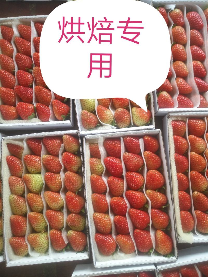 夏季草莓，烘焙，规格齐全，口感偏酸。