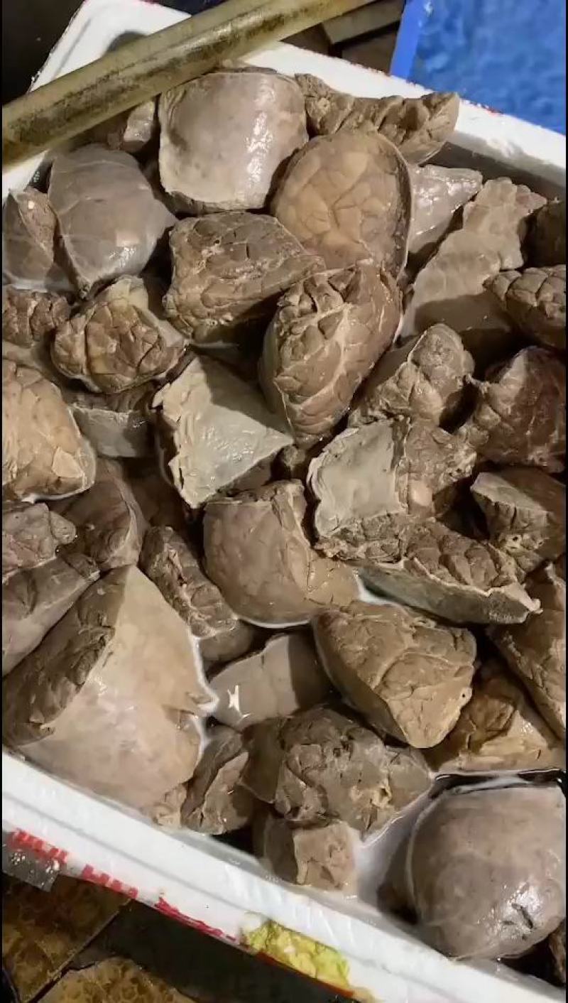 纯干牛肺，可带气管！！！！！！！！！！！！！