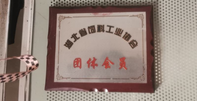 武汉凯马饲料，万湖龙虾膨化沉性料。饲料气味好，易吸收！