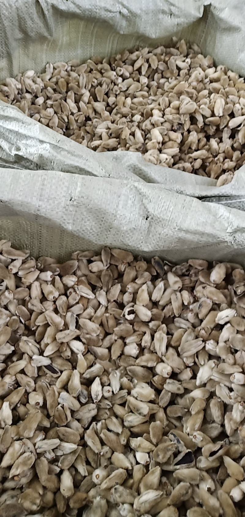 辛夷一手货源药食同源各种规格齐全价格电议香料