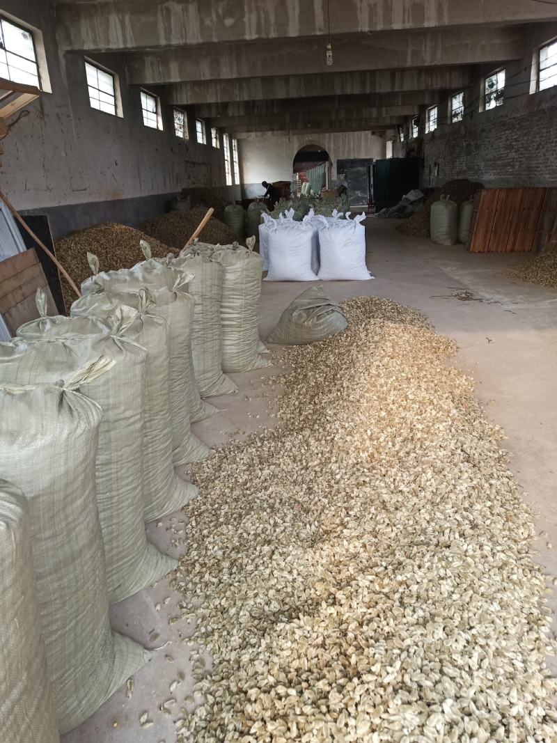 辛夷一手货源药食同源各种规格齐全价格电议香料