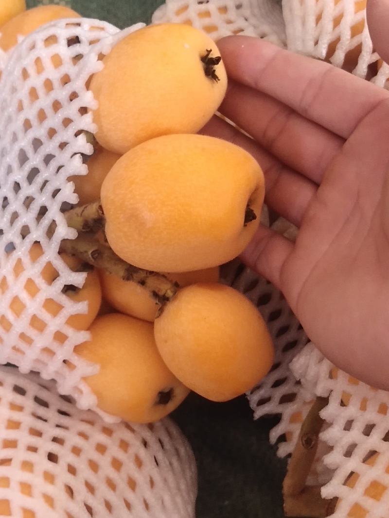 水果