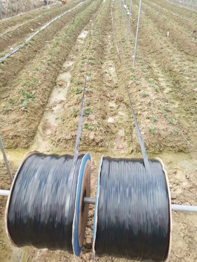 滴灌带双孔贴片式滴灌带农用滴灌管草莓葡萄蔬菜大棚滴