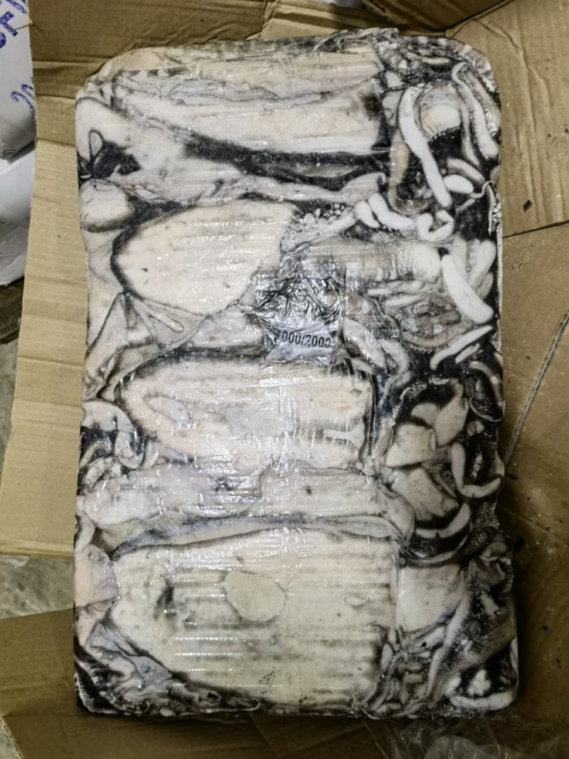 墨鱼批发乌贼批发海鲜水产批发一手货源长期稳定供应