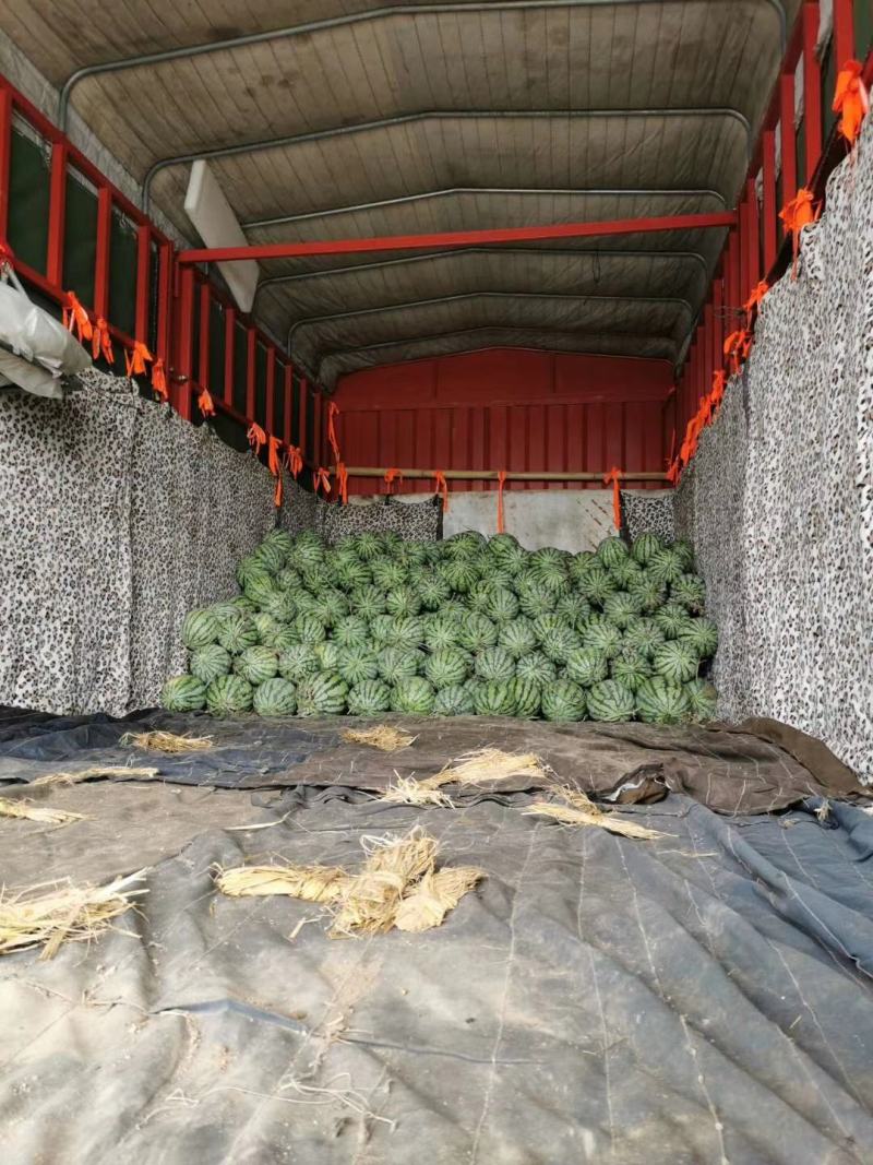 8424西瓜万亩基地产地直发量大从优可视频看货