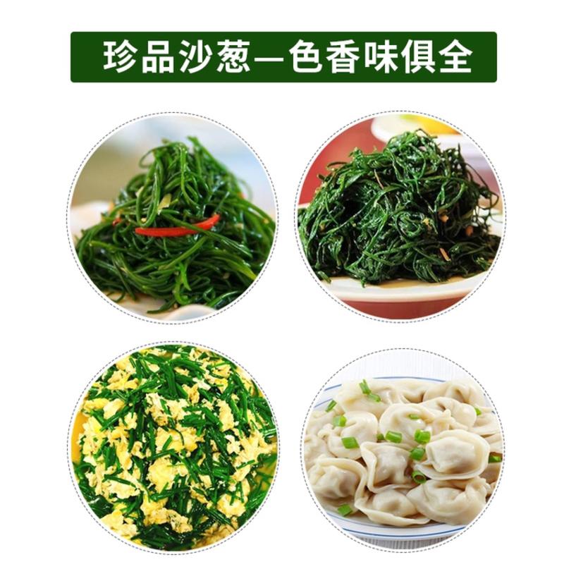 顺丰民勤新鲜沙葱现剪鲜发坏单包赔野葱野菜凉拌火锅菜胡葱