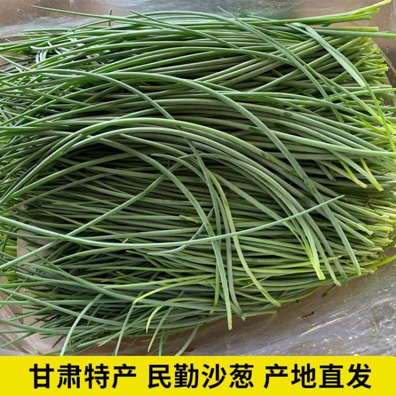 顺丰民勤新鲜沙葱现剪鲜发坏单包赔野葱野菜凉拌火锅菜胡葱