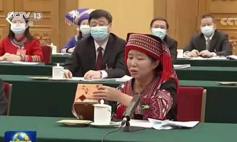 两会爆款，17108，广西梧州六堡茶