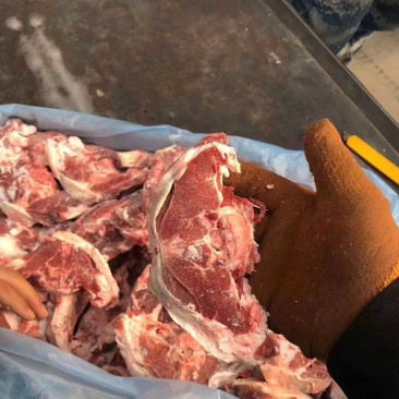 糕羊满肉蝴蝶排，骨髓满满的！