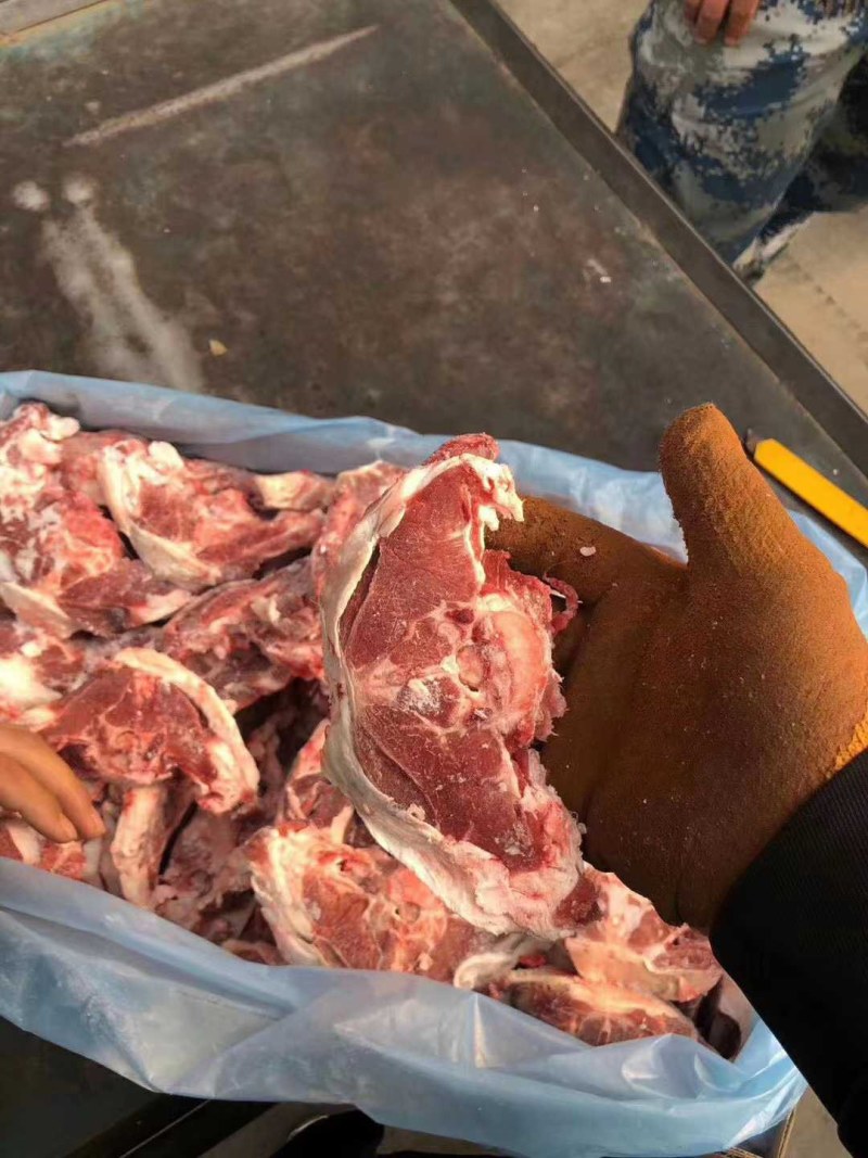 糕羊满肉蝴蝶排，骨髓满满的！