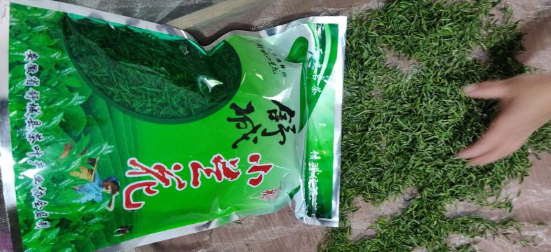 山区优质舒城小兰花茶叶