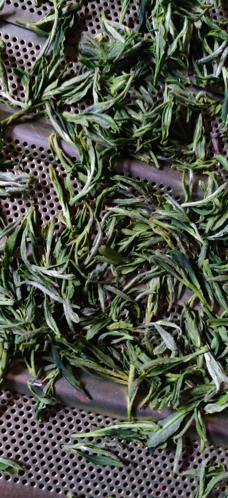 山区优质舒城小兰花茶叶