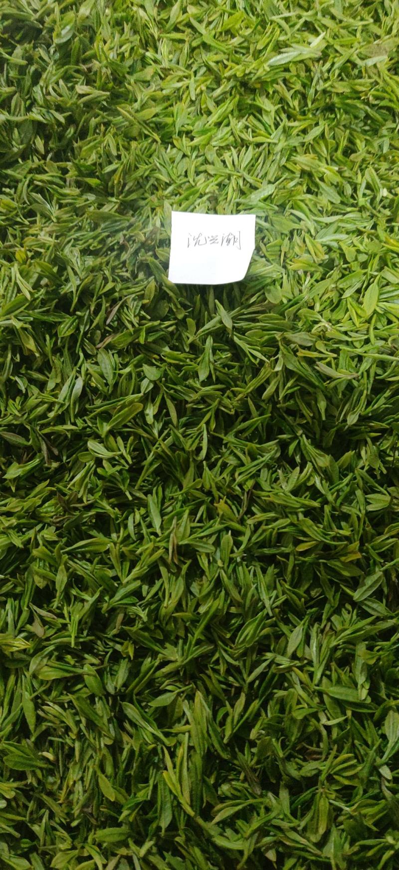 山区优质舒城小兰花茶叶