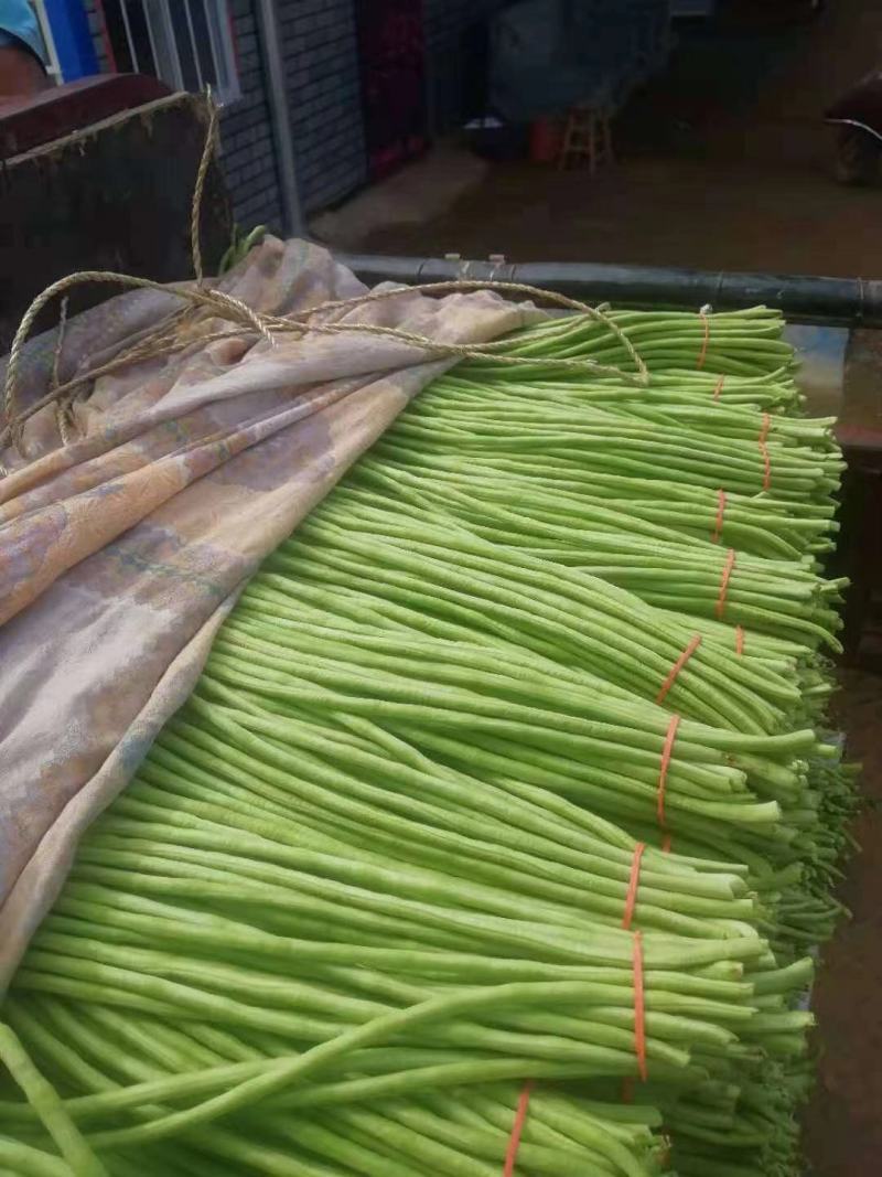 长豆角，长度60-70公分，颜色好，不鼓子，一条龙服务