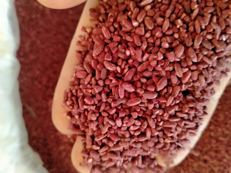 中药材红曲米！优质红曲米大量批发零售！欢迎下单！！！