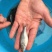 鲈鱼苗，大口黑鲈优3号，欢迎各位下单，经过驯化吃料，