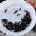 【桂花鱼苗】鳜鱼苗、优质鱼苗、大量出售、欢迎定购